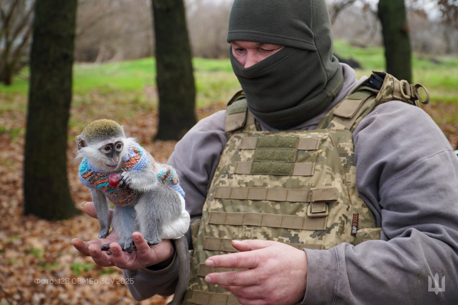 Бойова мавпочка Зіна стала талісманом бригади у Дніпрі