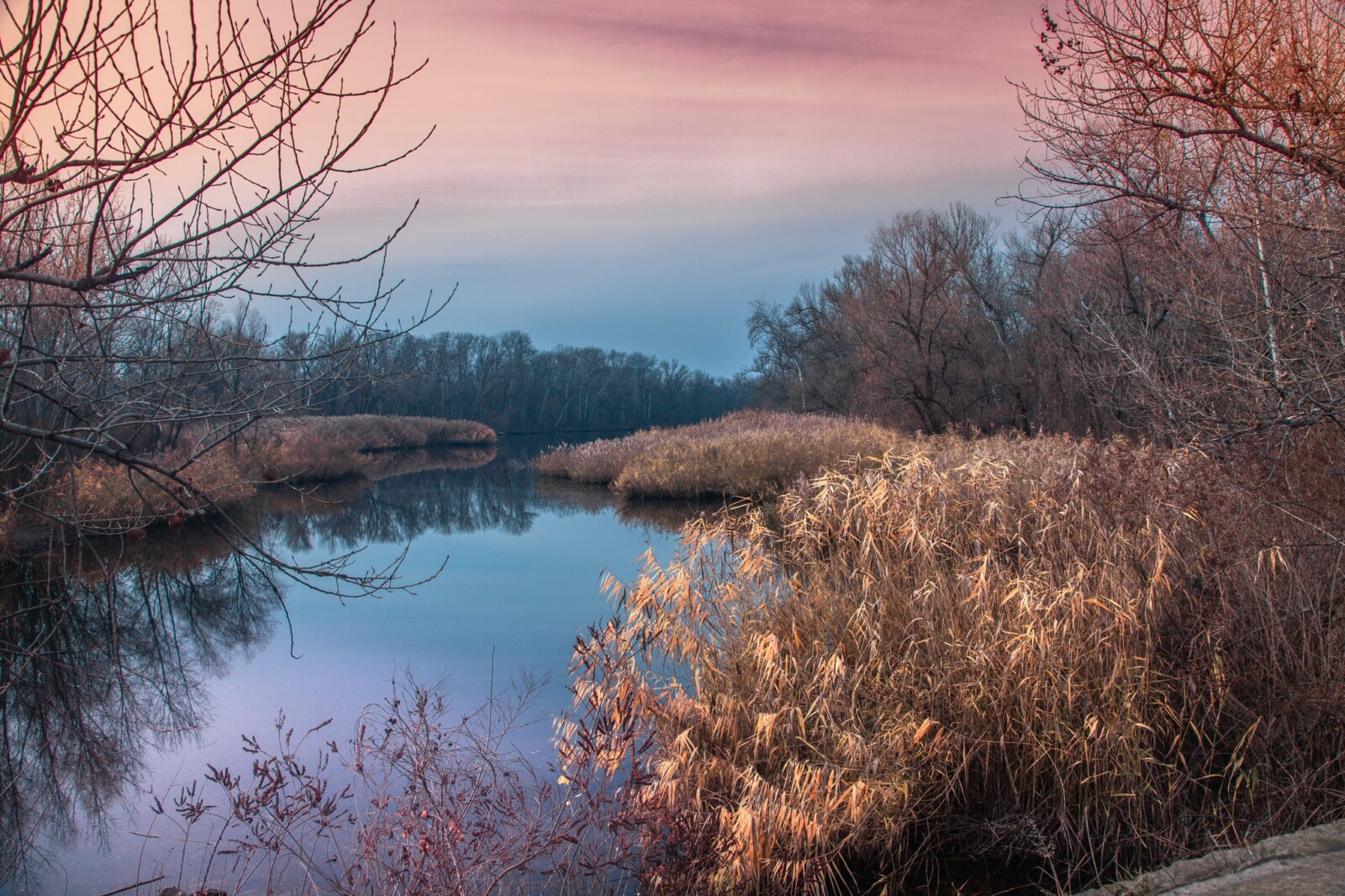 Осінній настрій плавнів: унікальні кадри з Діївської природи