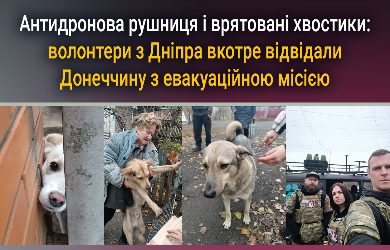 Волонтери з Дніпра врятували тварин на Донеччині
