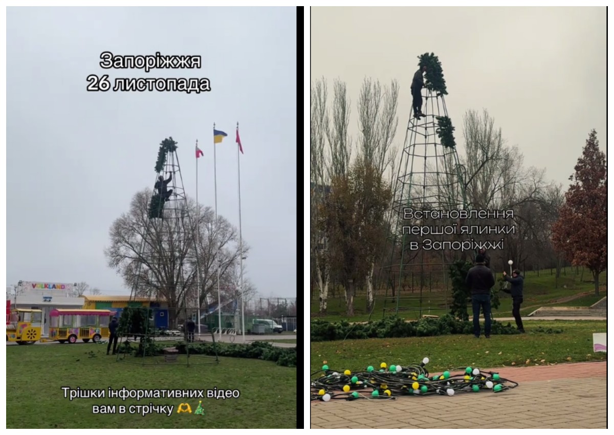 У Запоріжжі стартували роботи з установки новорічної ялинки