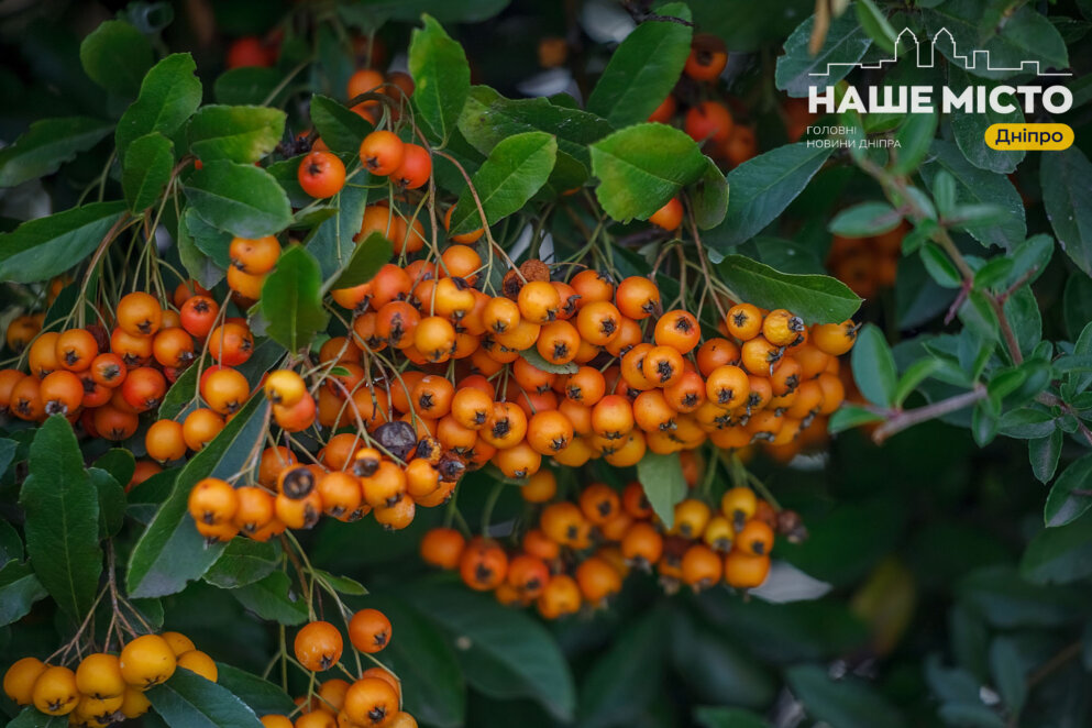 17 листопада: шануємо пам’ять Григорія Чудотворця