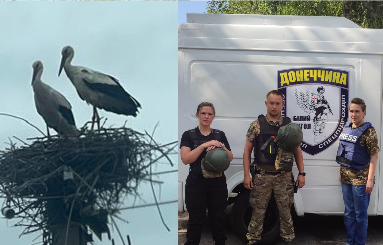 Надзвичайні обителі: лелеки на передовій Торського