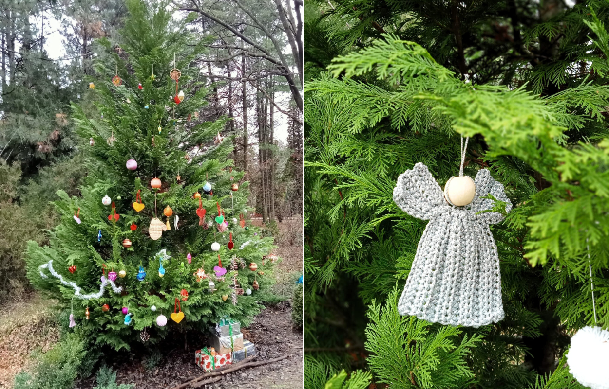 Творчі майстер-класи у ботсаду Дніпра: навчимося створювати ялинкові прикраси