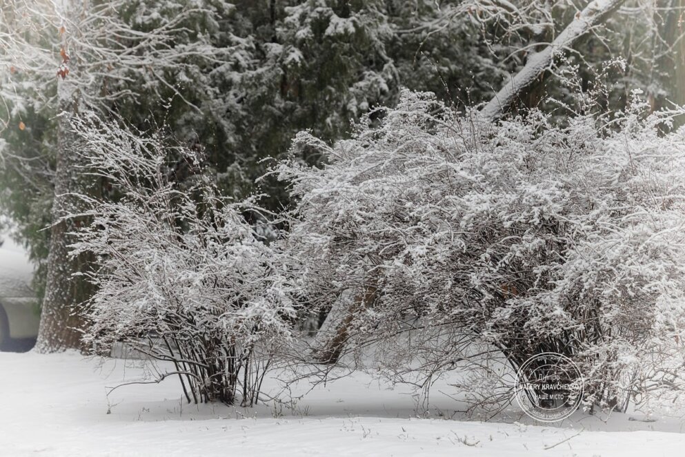 Грудень увійде з морозами: чого чекати від погоди в Україні