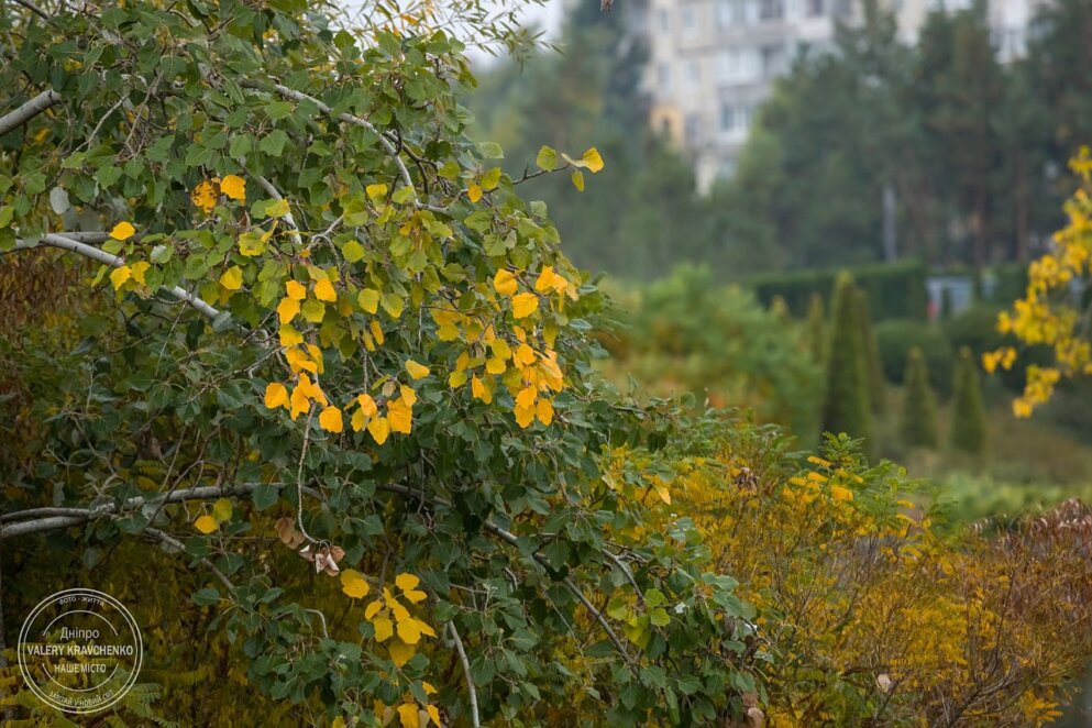 Свята 15 листопада: Різдвяний піст і день мучеників