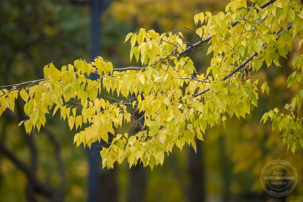 Традиції та заборони 12 листопада: чому варто звернути увагу на цей день?