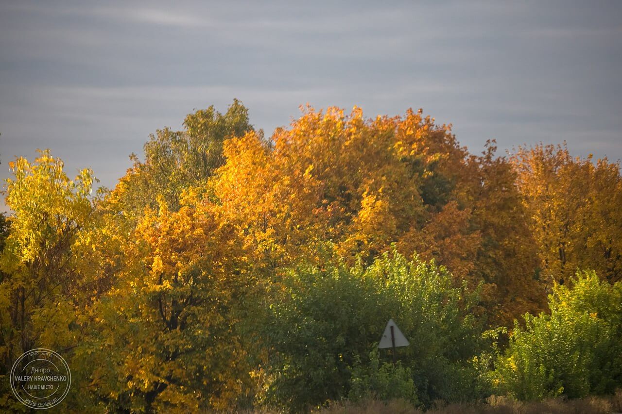 Теплий подарунок листопада: на Україну чекає друге бабине літо