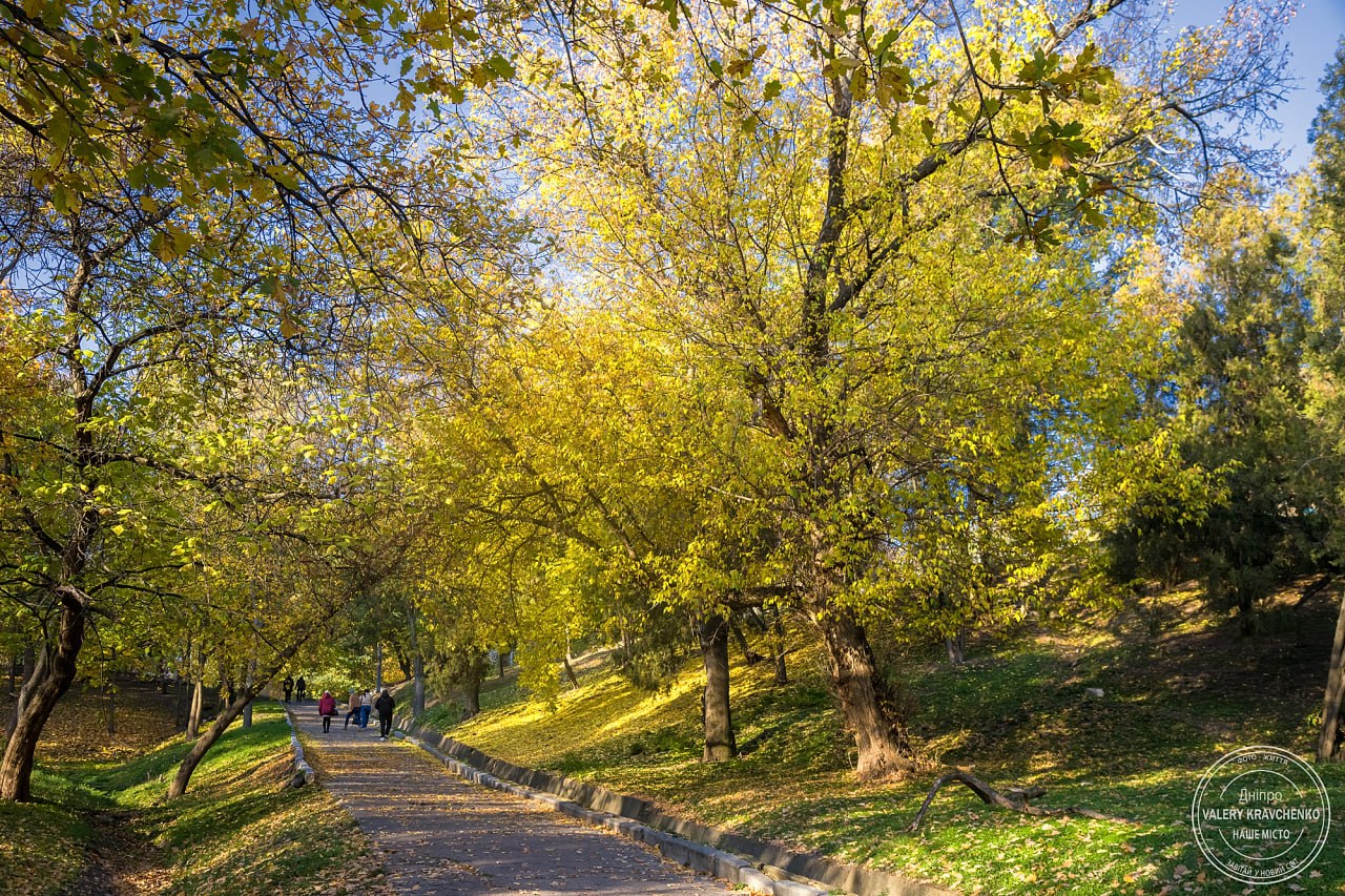 Потепління в Україні: якою буде погода у Дніпрі 21 листопада