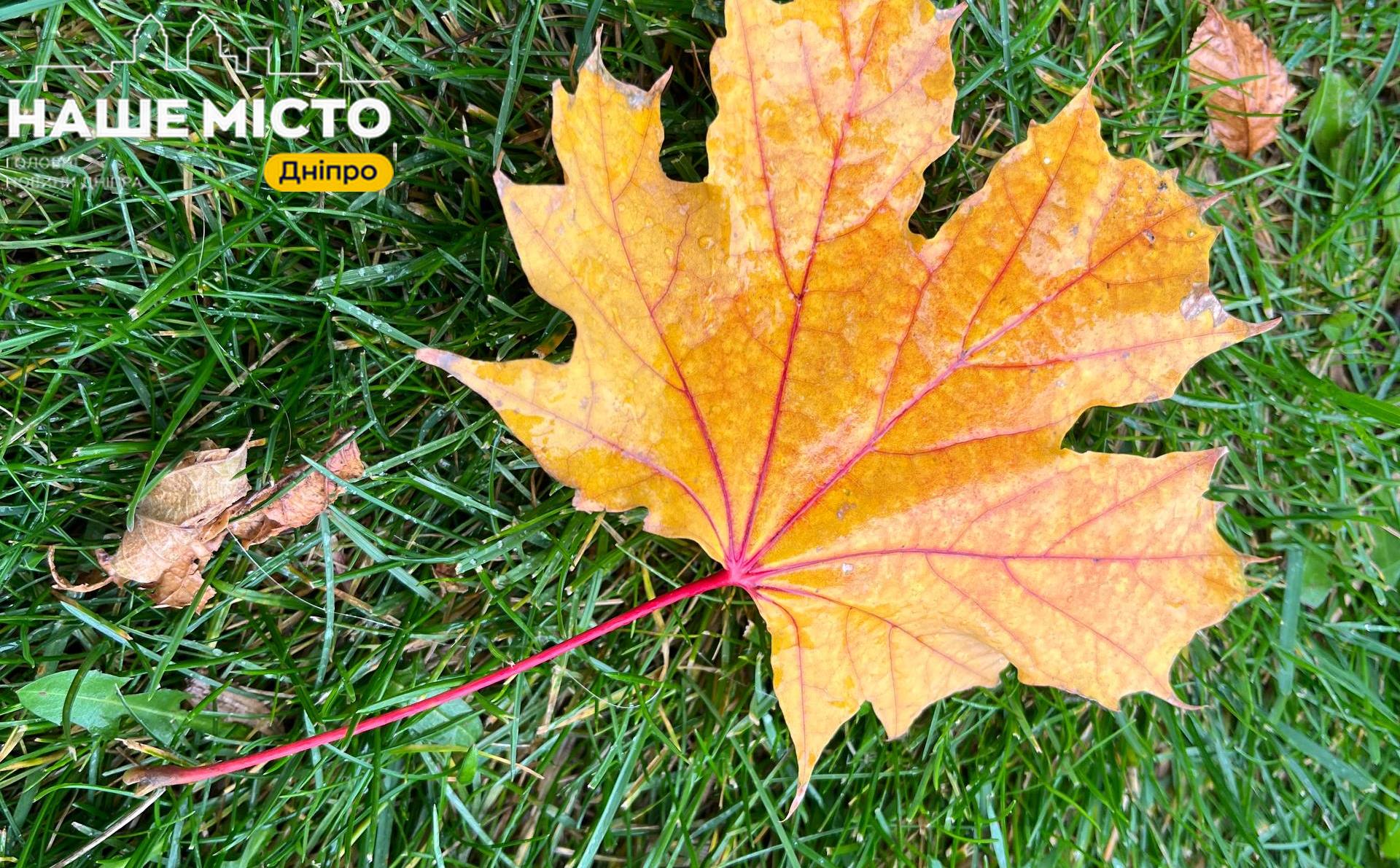 Новий температурний рекорд листопада у Дніпрі