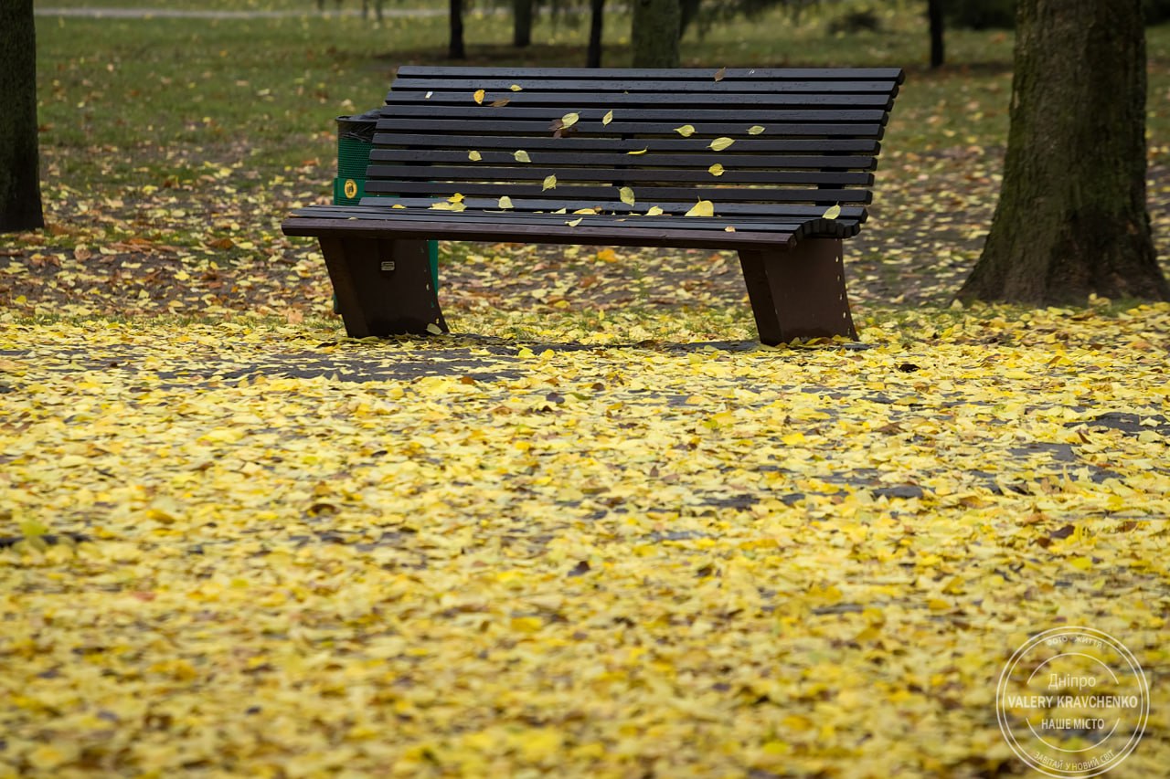 Останній тиждень осені: якою буде погода в Україні?