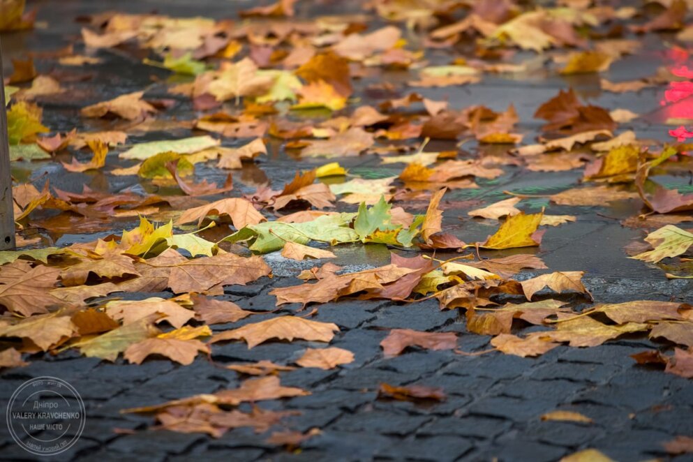 Штормовий вітер та прохолода: синоптичний прогноз по Україні на 26 листопада