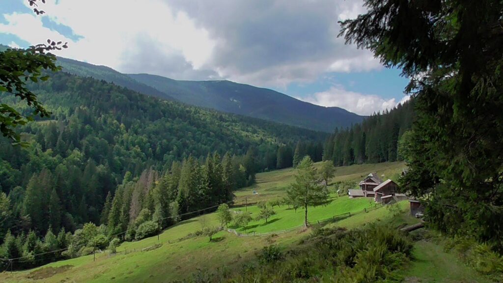 Гойдалки з видами на Карпати: ідеальне місце для відпочинку