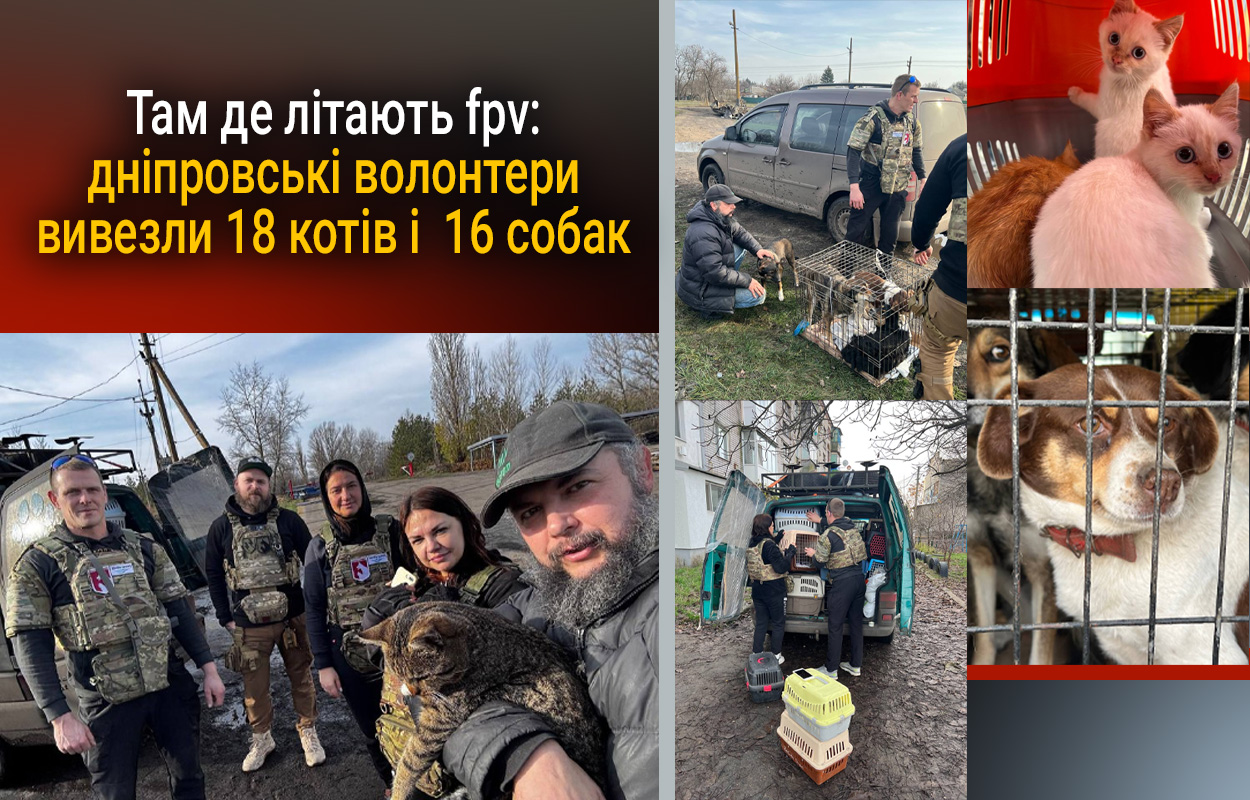 Волонтери з Дніпра евакуювали 34 домашніх улюбленців з небезпечних зон