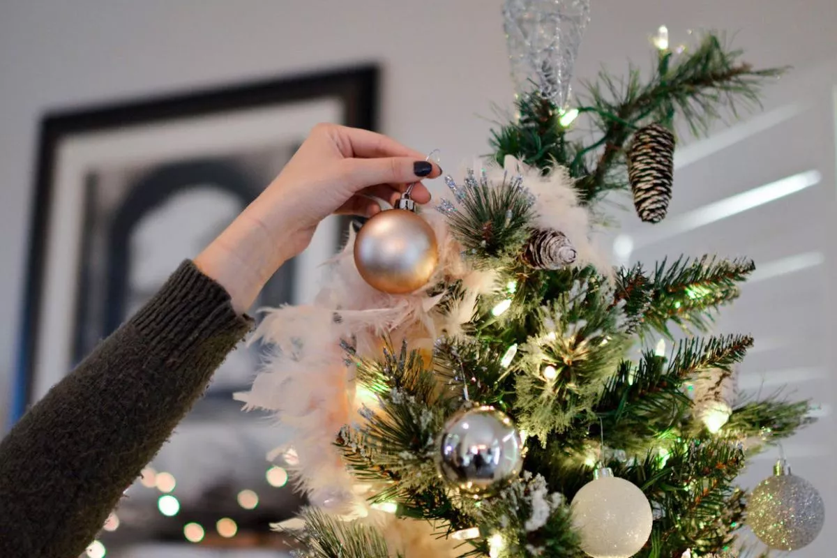 Коли краще ставити новорічну ялинку в Дніпрі: поради експертів