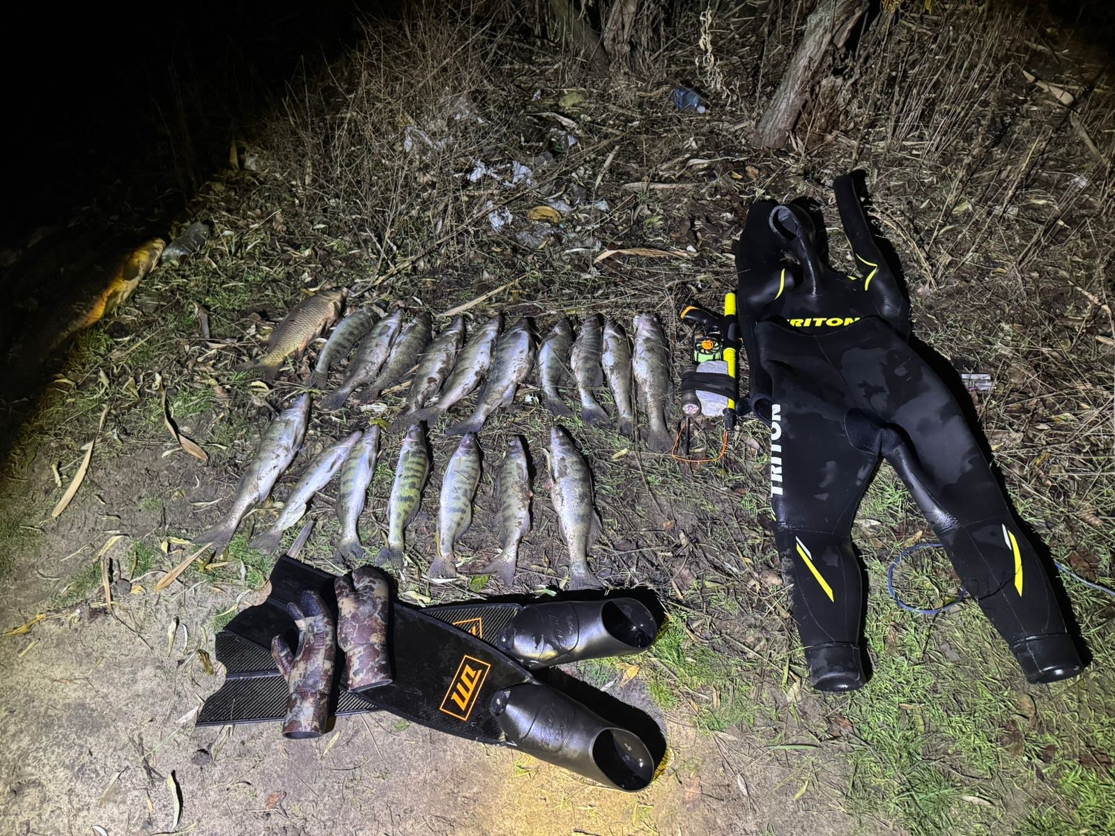 Затримання браконьєрів на Самарі: незаконне нічне полювання