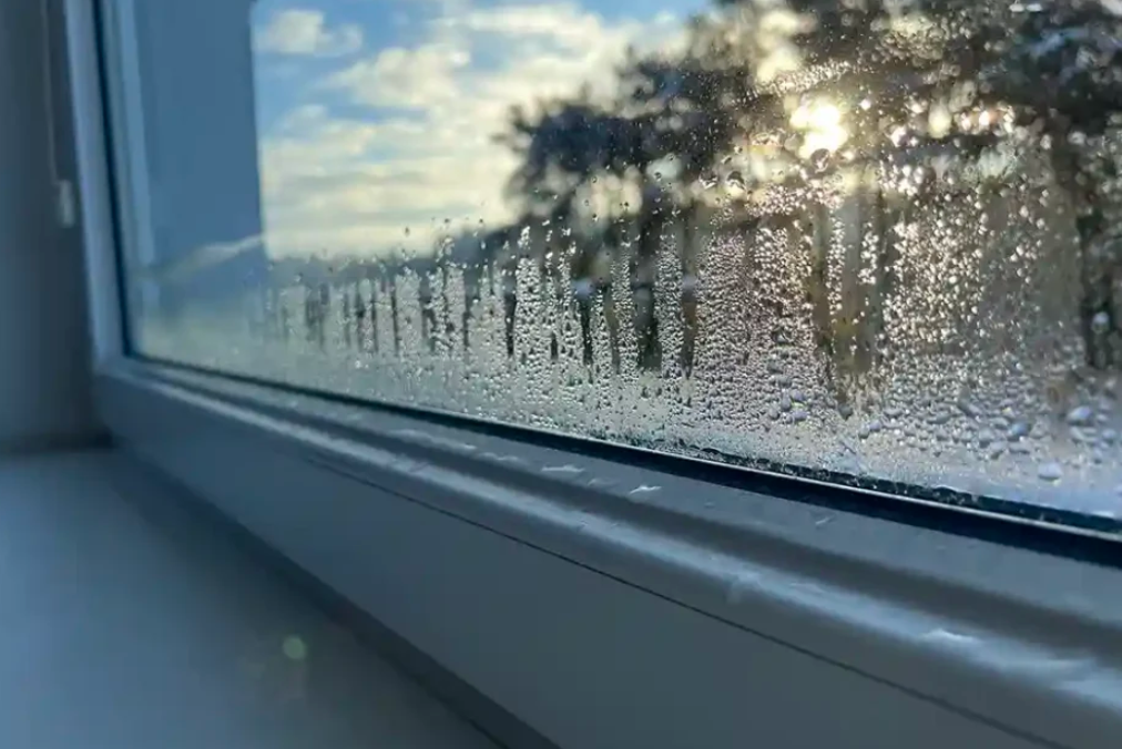 Як швидко усунути конденсат на вікнах у зимову пору?