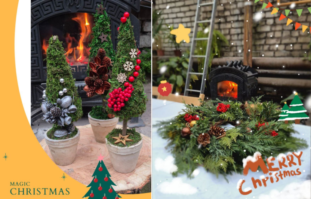 Ботсад ДНУ запрошує на святкові заходи: від майстер-класів до прикрашання ялинки