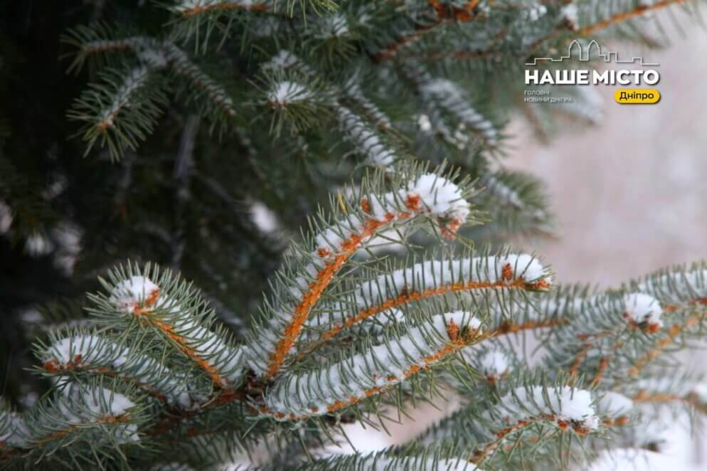 17 грудня: День пророка Даниїла та народні забобони