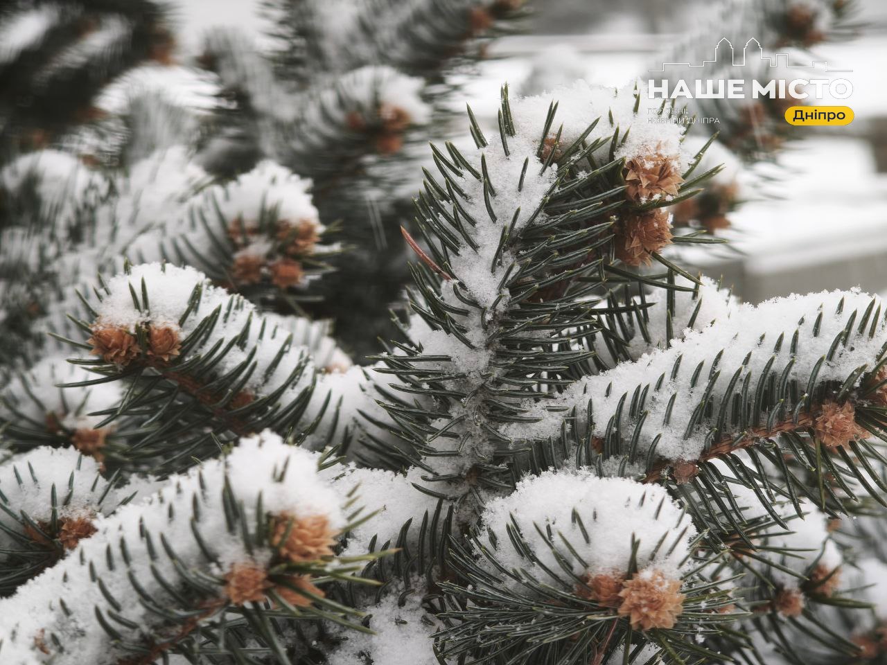 29 грудня: День пам’яті святих немовлят та прикмети з народу