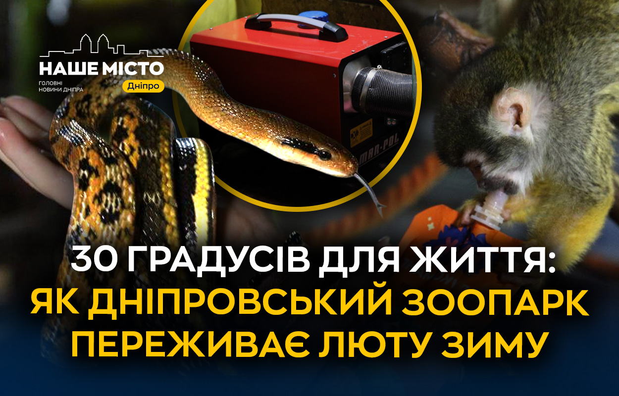 Боротьба за виживання: як дніпровський зоопарк рятує тварин під час блекаутів