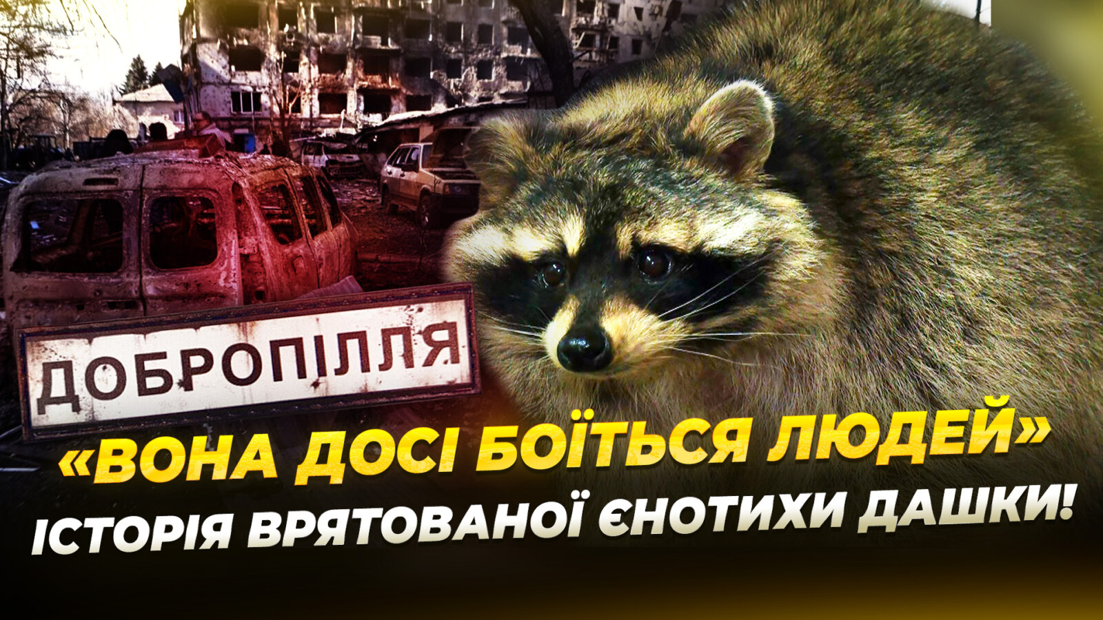 Єнотиха з Добропілля проходить реабілітацію у Дніпрі