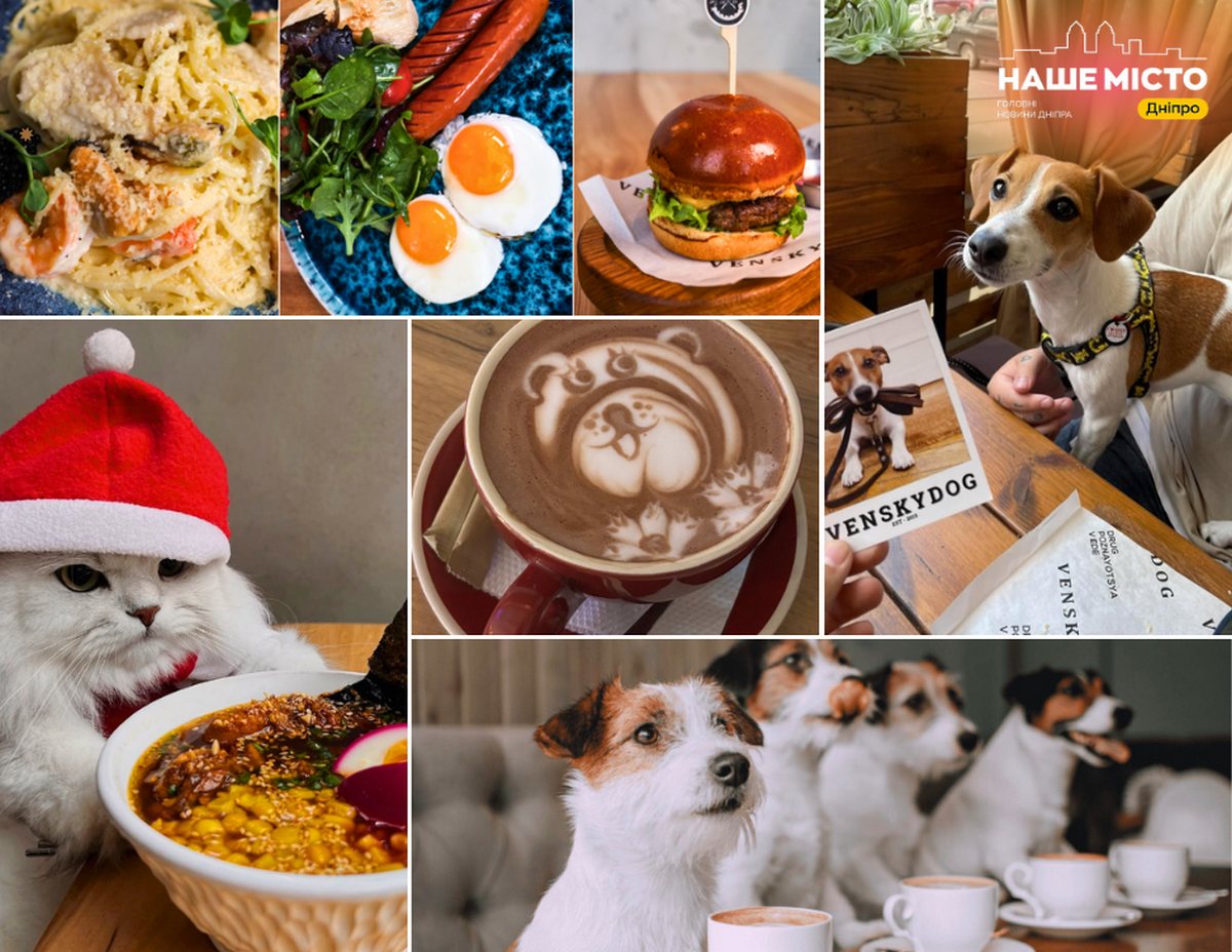 Де у Дніпрі поїсти з домашніми улюбленцями: кращі місця