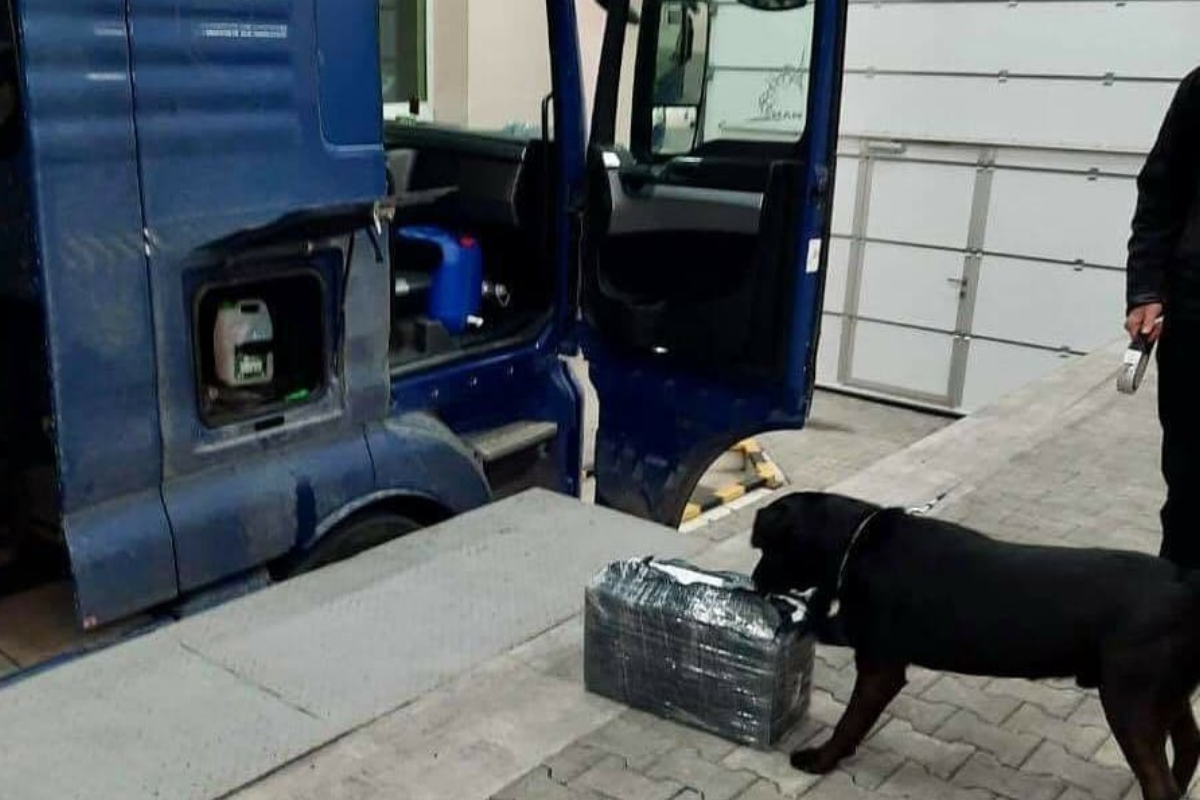 Митні собаки у Дніпрі: ефективна боротьба з контрабандою