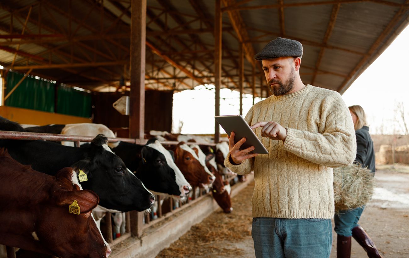 Нові правила щодо благополуччя тварин у Дніпрі з 2026 року