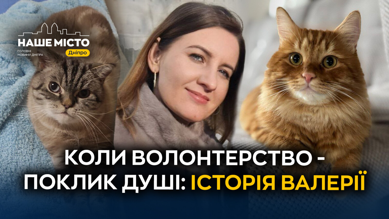 Десятирічна місія: Валерія з Дніпра допомагає бездомним тваринам