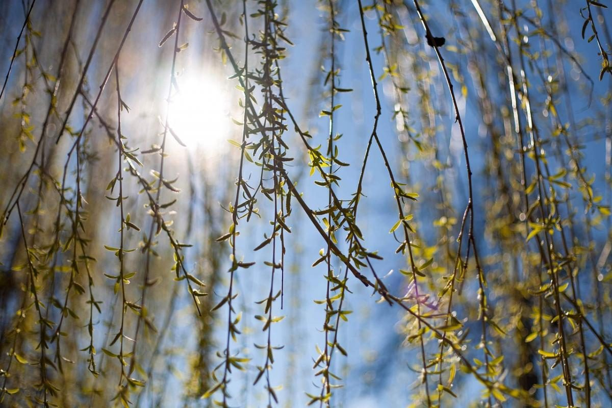 День і ніч рівнозначні! Весняне рівнодення у Дніпрі 20 березня 2026