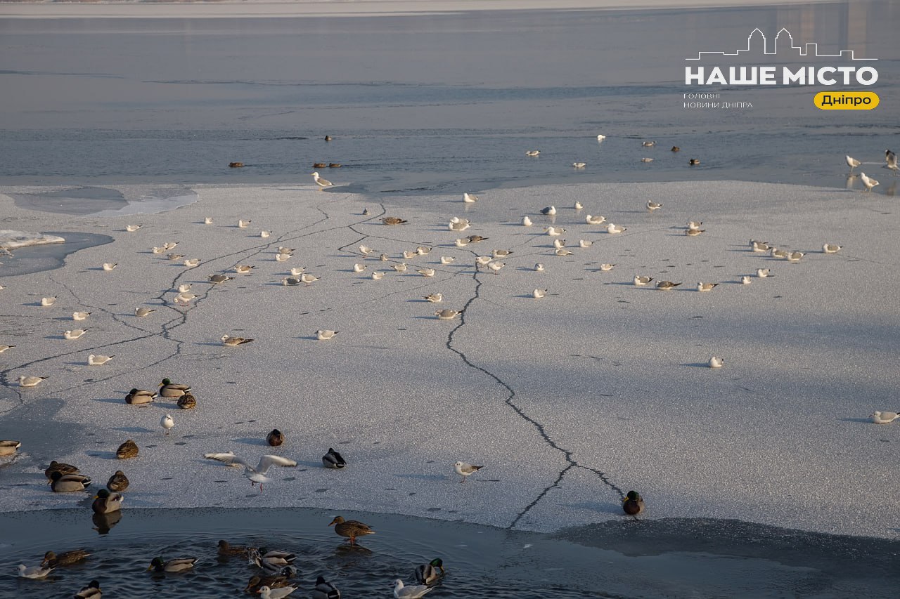 1431 доба війни: ситуація в Дніпрі станом на ранок
