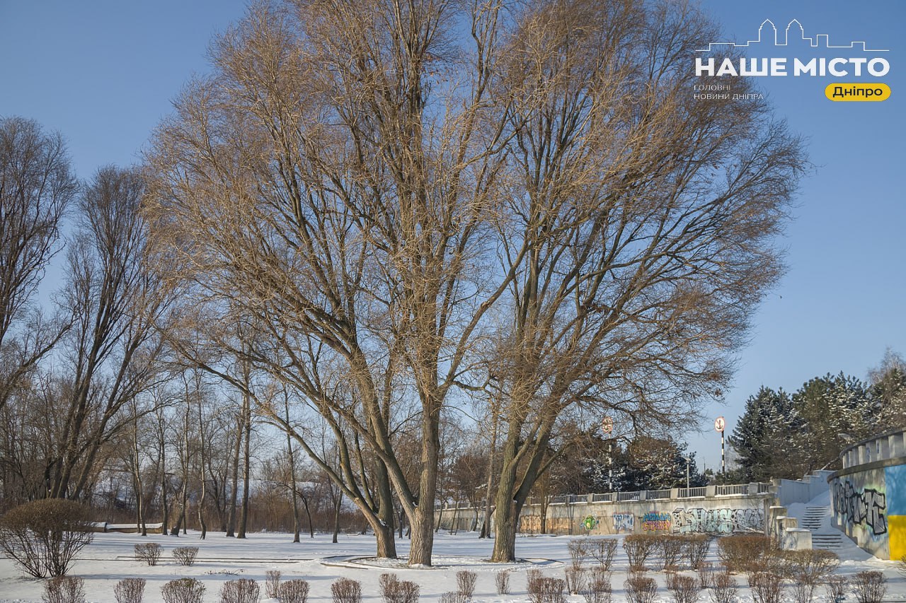 Ожеледиця та морози: прогноз погоди на 20 січня у Дніпрі