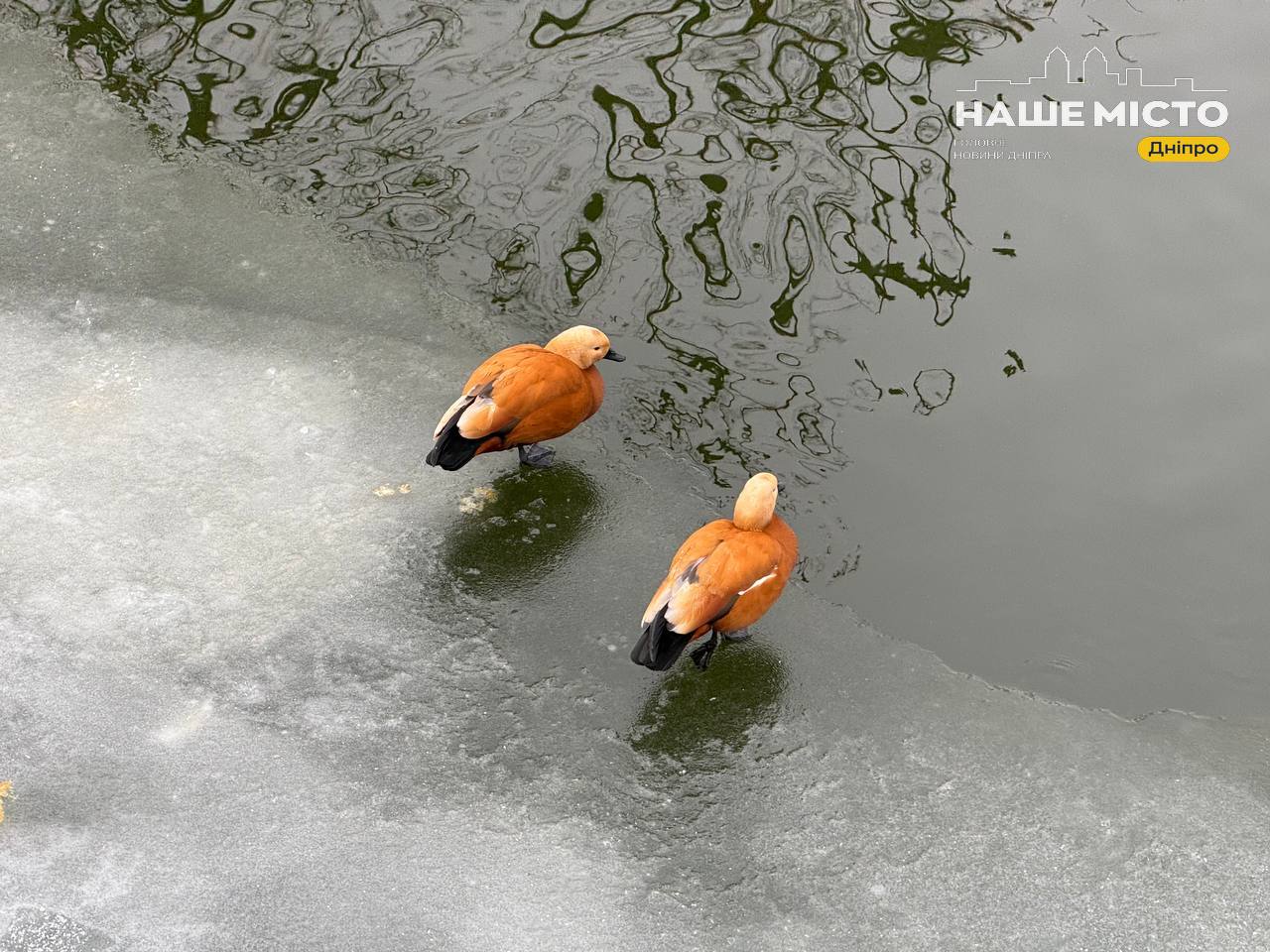 Традиції та заборони 19 січня: день святого Макарія