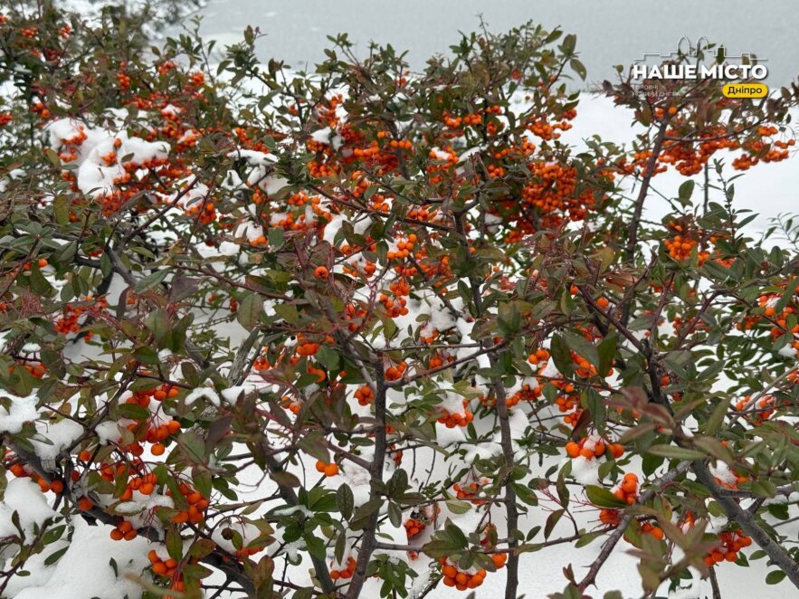 26 січня: традиції та заборони дня