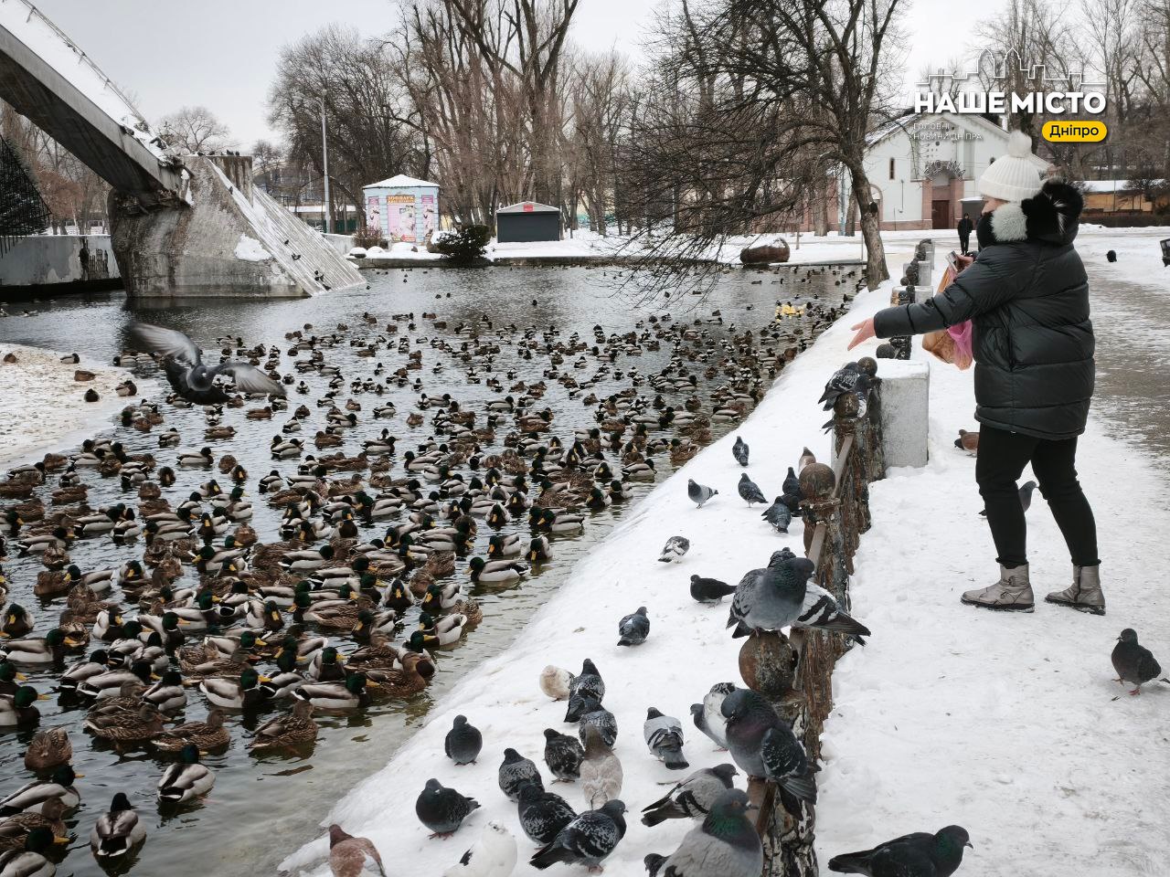 Парк Глоби перетворився на укриття для тисяч птахів у Дніпрі