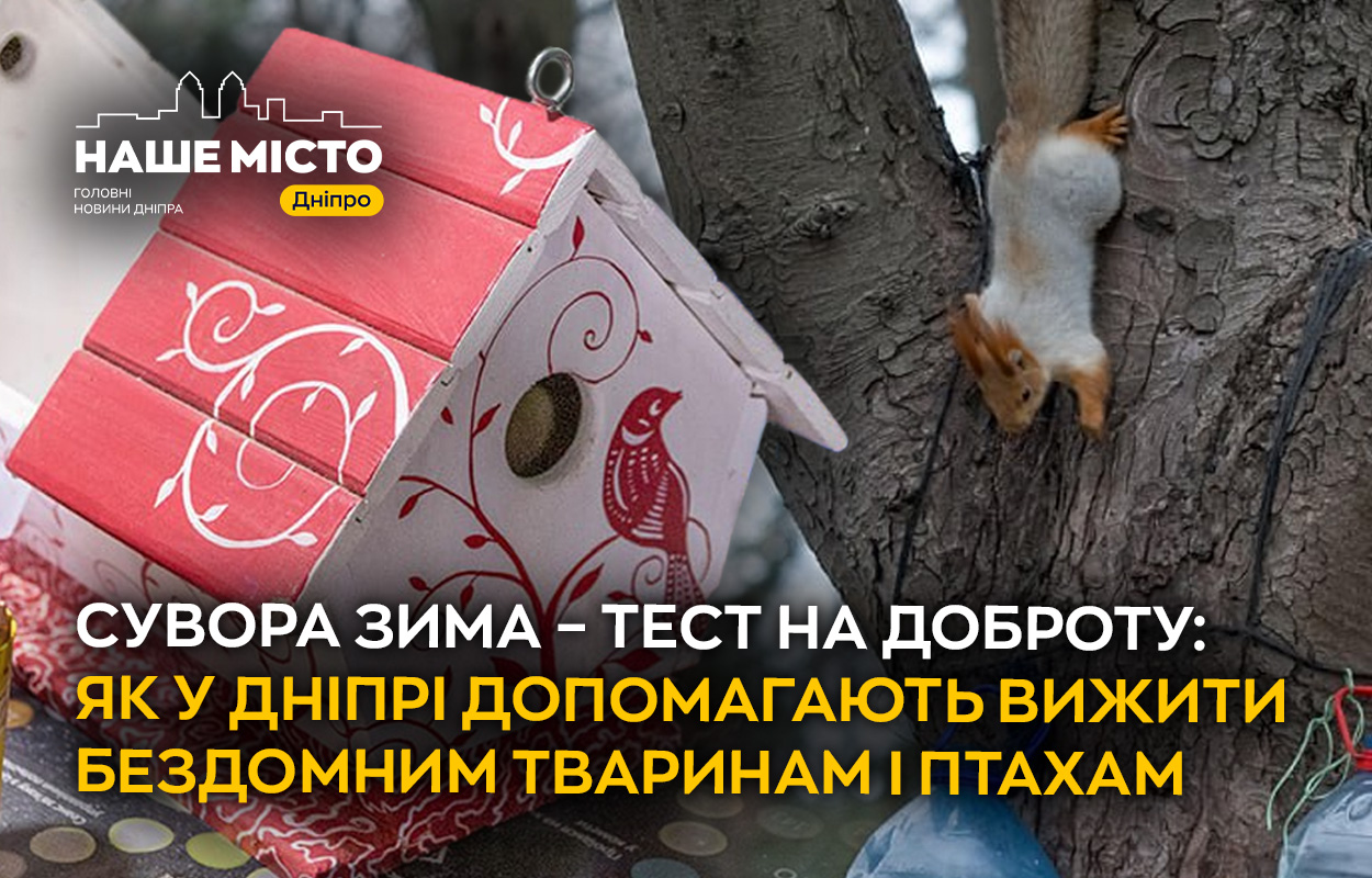 Як у Дніпрі допомагають бездомним тваринам взимку