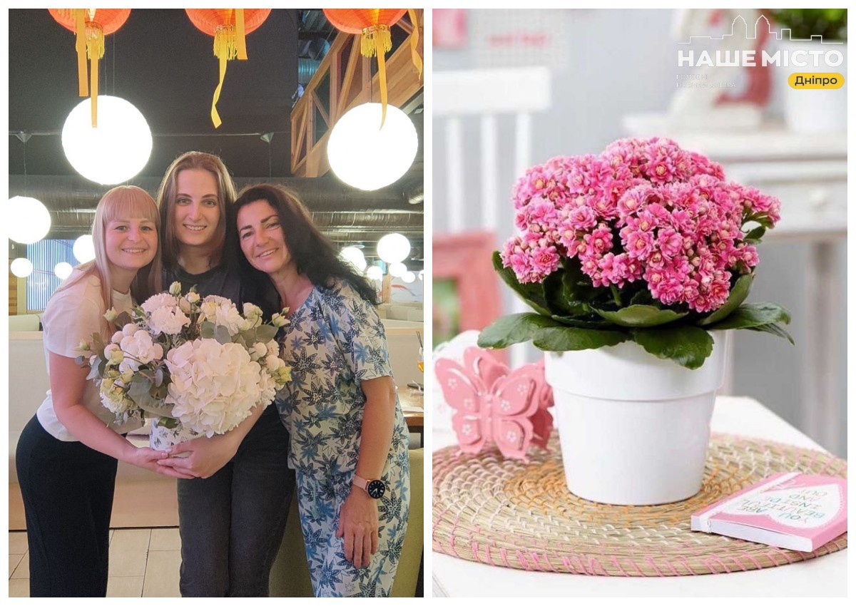 Довге життя у подарунок: чому кімнатні рослини кращі за букети