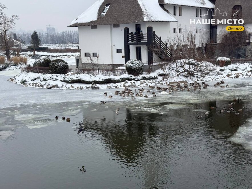 Яке релігійне свято відзначають 17 лютого