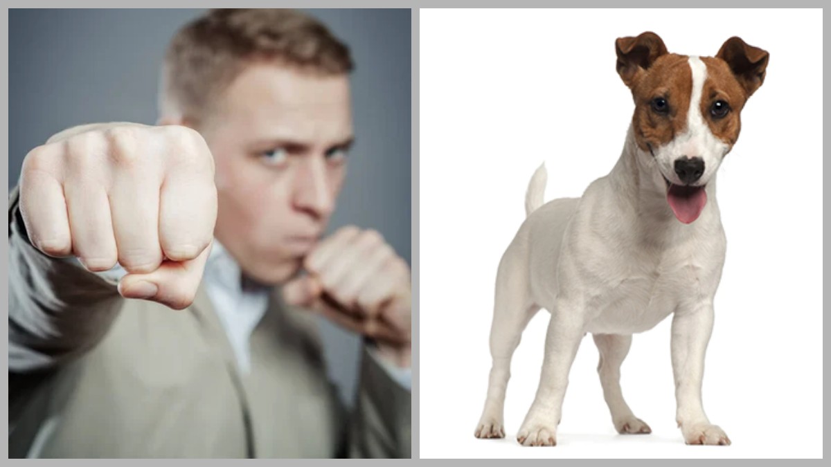 Суд у Дніпрі засудив охоронця, який побив власника тер’єра