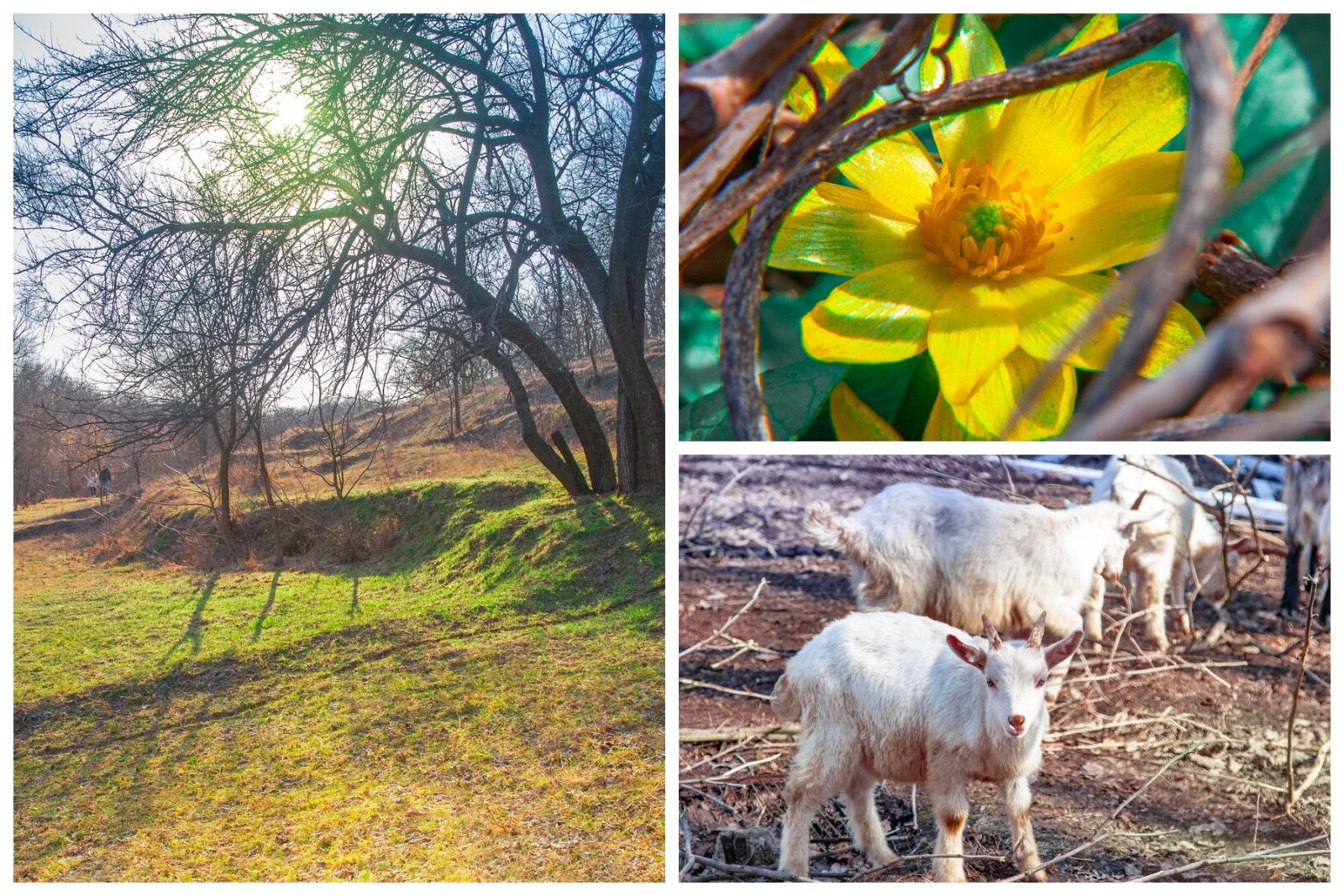 Весна у Дніпрі: Тунельна балка оживає в березні