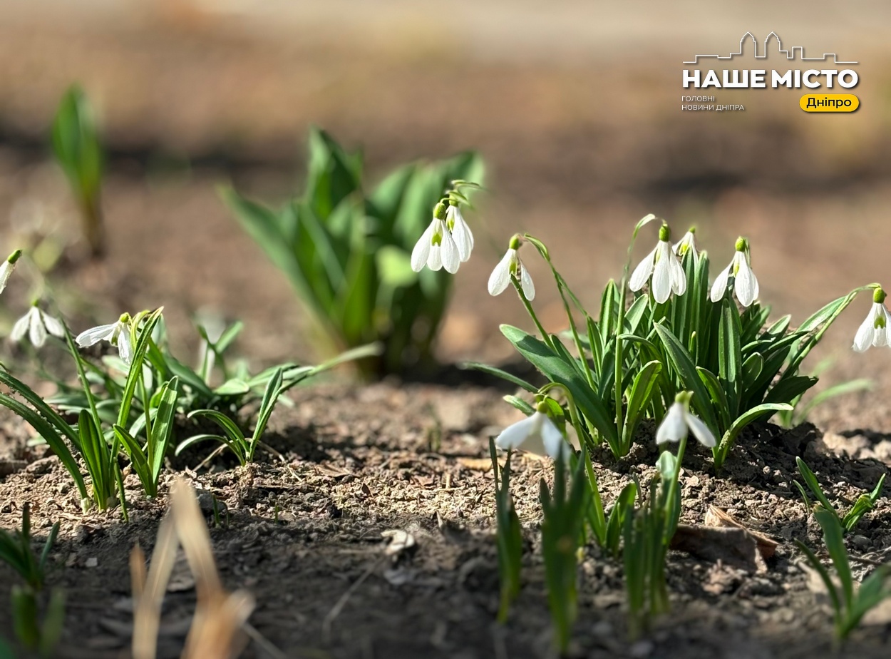 Погода у Дніпрі 31 березня: без опадів, денна температура до +15°C