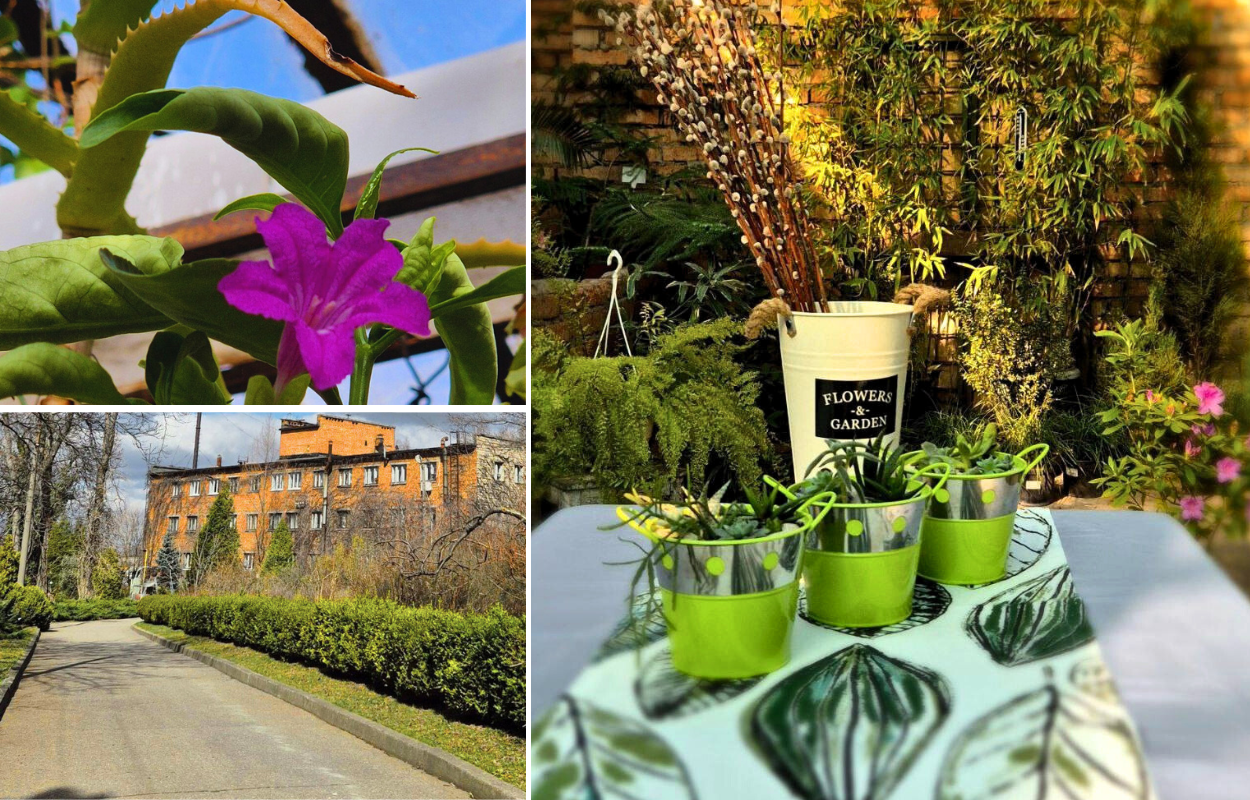 Ботанічний сад ДНУ запрошує дніпрян на весняні екскурсії