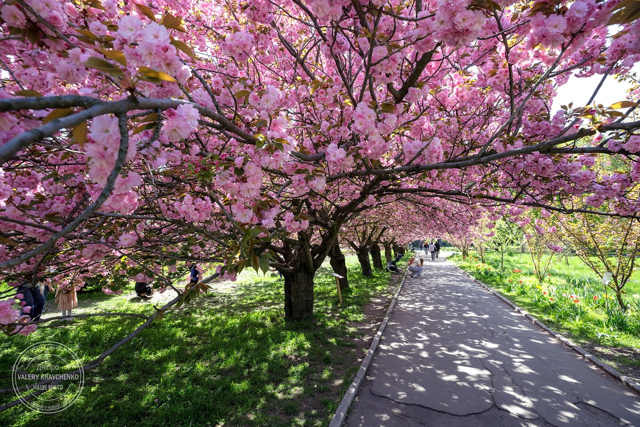 Прогноз погоди в Україні: тепло до +15 та нічні заморозки
