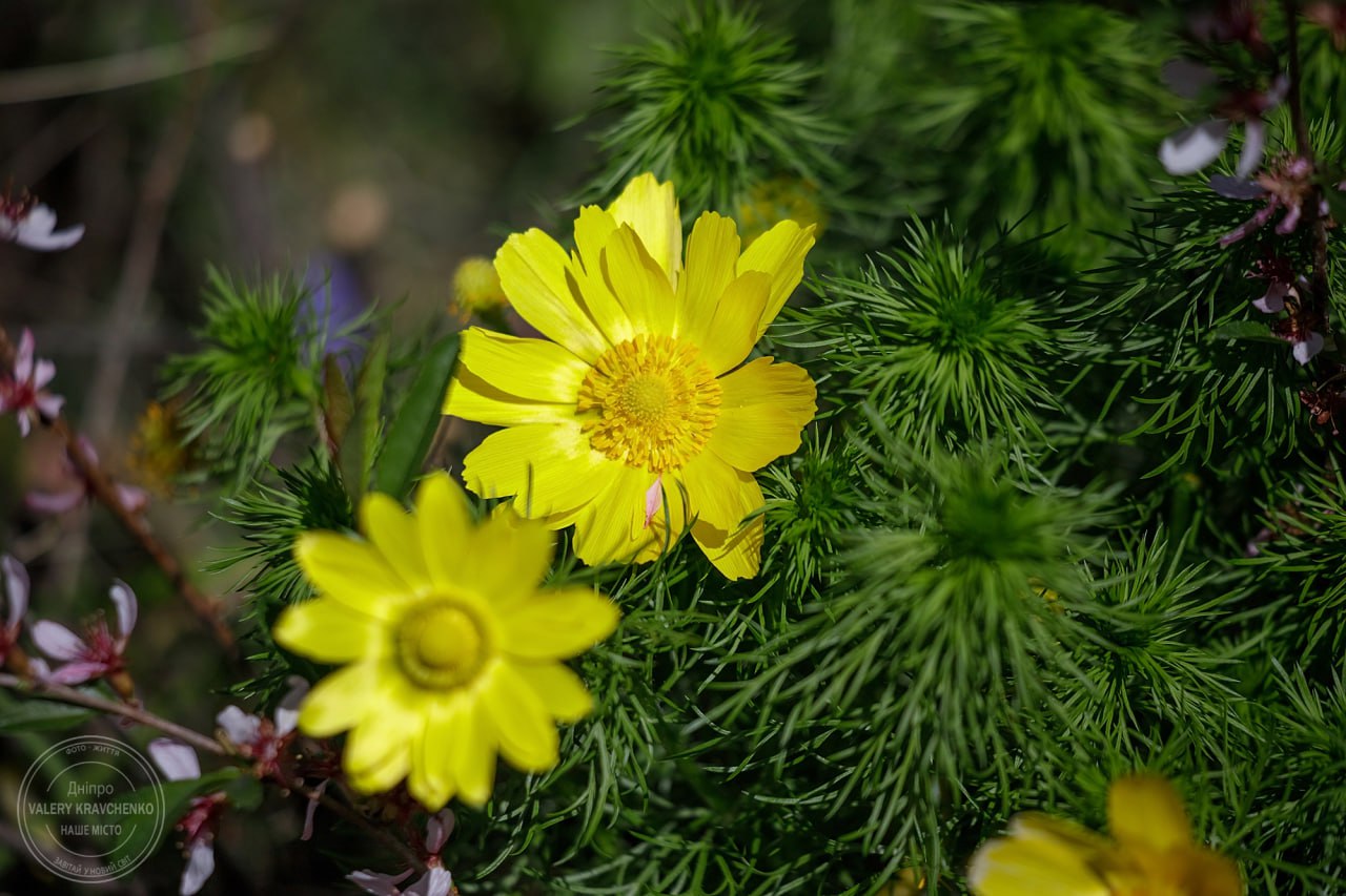 Вшанування Кирила Єрусалимського: традиції та світові події 18 березня