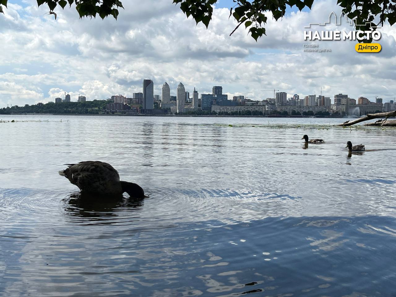 5 березня - Всесвітній день енергоефективності: як заощаджувати енергію?