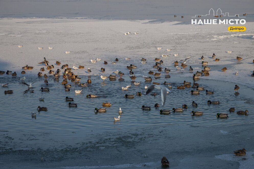 День Герасима Йорданського: традиції та заборони