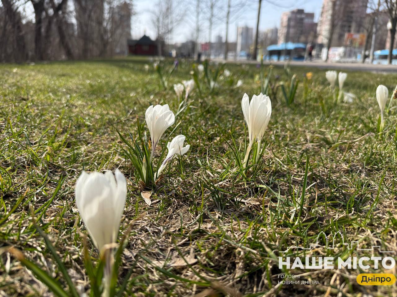 День пам’яті преподобних Отців: вшанування та народні звичаї