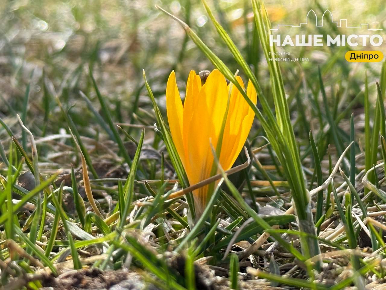 17 березня: вшанування пам’яті преподобного Олексія