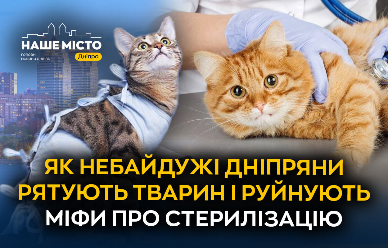 Турбота про чотирилапих у Дніпрі: важливість стерилізації