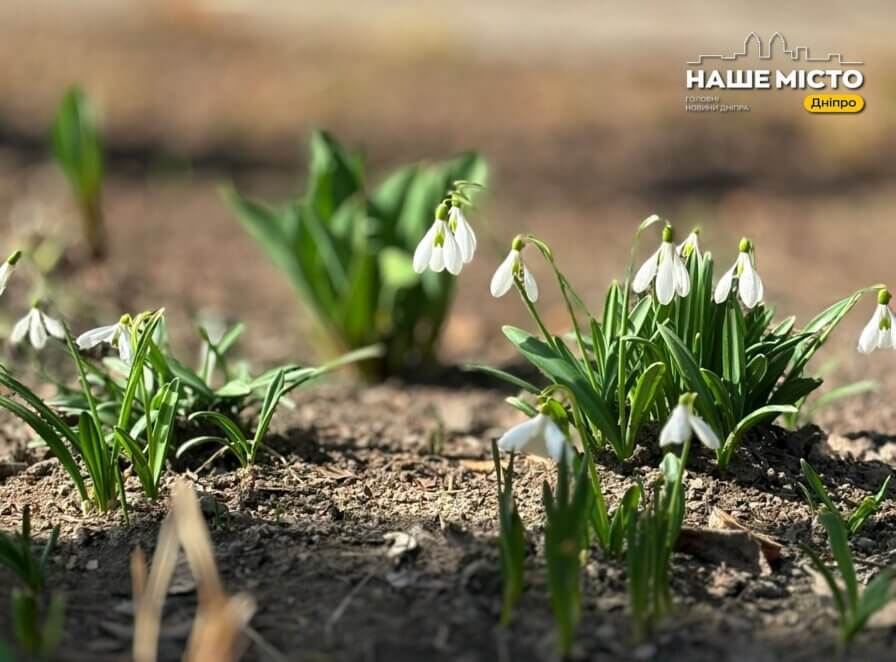 Свято 4 квітня: традиції та народні прикмети погоди